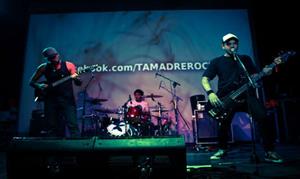 Tamadre en vivo en Animal Rock