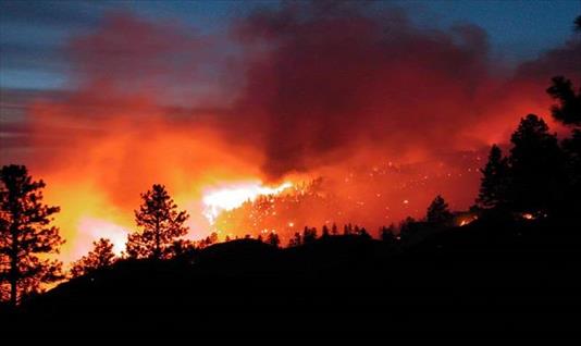 Chile pide ayuda extranjera para sofocar las llamas de 63 incendios forestales