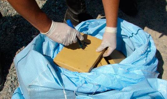 Se cayó una avioneta boliviana y llevaba 226 kilos de cocaína 