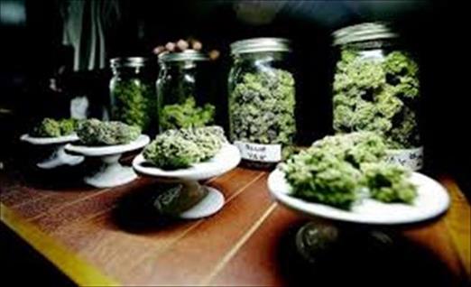 Uruguay: se inició el experimento con marihuana legal
