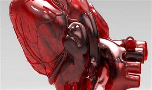 En cinco años se imprimirán órganos en 3D 